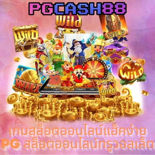 ไทเกอร์24